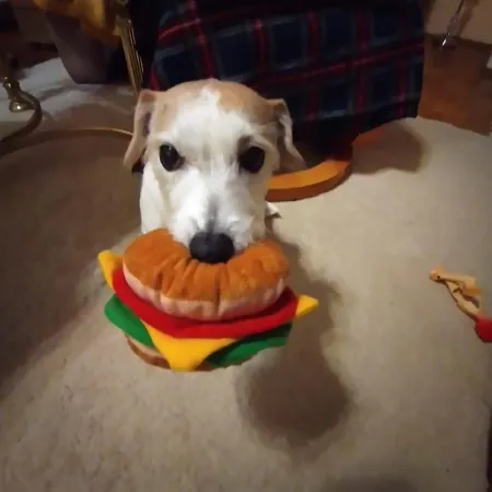 Timmestrand Lägenhet