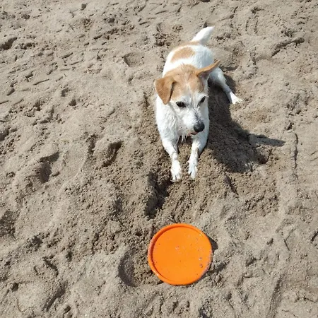 Lägenhet Timmestrand Timmendorfer Strand