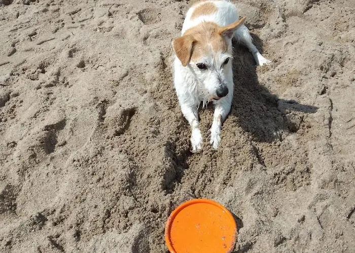 Lägenhet Timmestrand Timmendorfer Strand